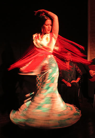 Flamenco Sala Fabiola